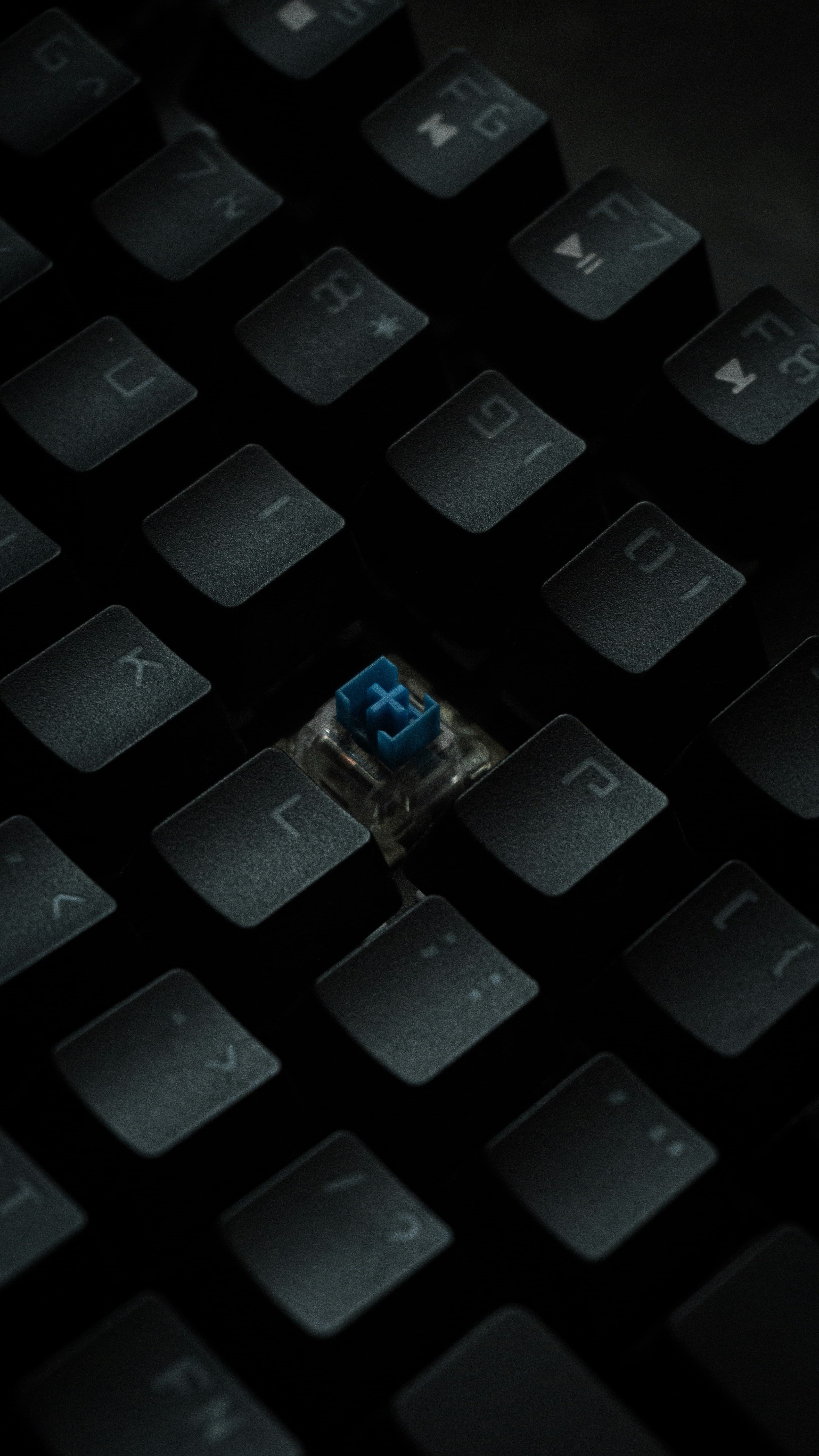 Future of Mechanical Keyboards